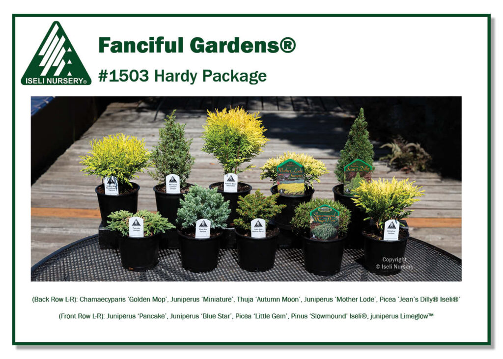 #1503 Hardy Package (low Res)