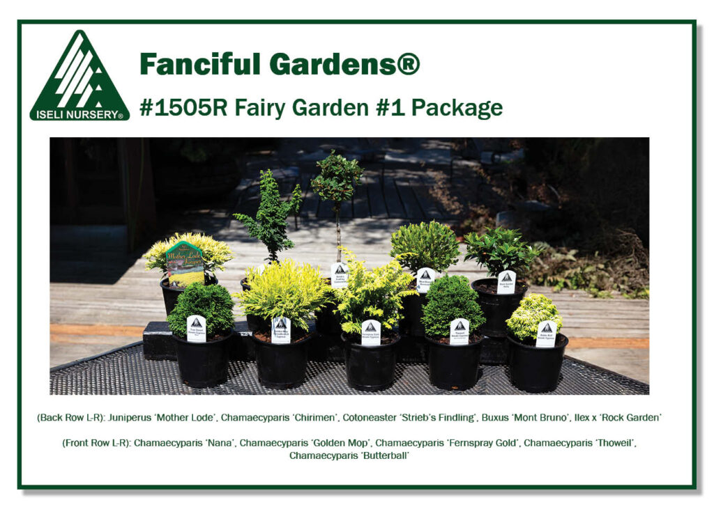 #1505R Fairy Garden #1 Package 2024 (low res)