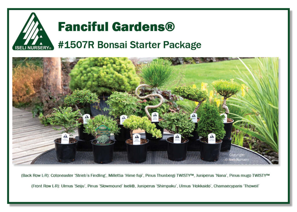 1507R Bonsai Starter Package (Low Res)