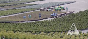 Website Header Template