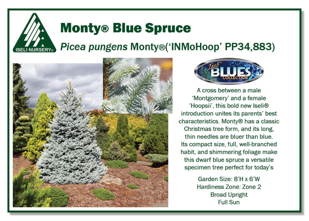 POS-Sign-Picea-pungens-